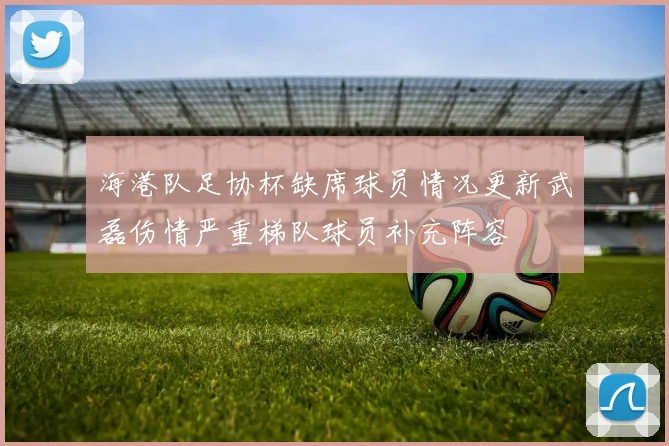 海港队足协杯缺席球员情况更新武磊伤情严重梯队球员补充阵容